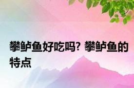 攀鲈鱼好吃吗? 攀鲈鱼的特点