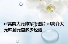 cf高阶大元帅军衔图片 cf高介大元帅到元首多少经验