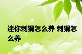 迷你刺猬怎么养 刺猬怎么养 