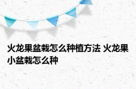 火龙果盆栽怎么种植方法 火龙果小盆栽怎么种