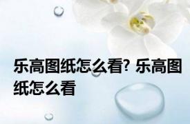 乐高图纸怎么看? 乐高图纸怎么看