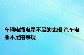 车辆电瓶电量不足的表现 汽车电瓶不足的表现