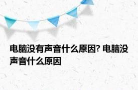 电脑没有声音什么原因? 电脑没声音什么原因 