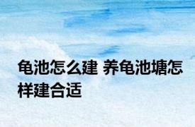 龟池怎么建 养龟池塘怎样建合适