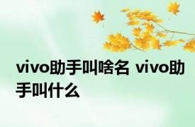 vivo助手叫啥名 vivo助手叫什么