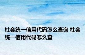 社会统一信用代码怎么查询 社会统一信用代码怎么查