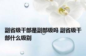 副省级干部是副部级吗 副省级干部什么级别