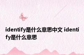 identify是什么意思中文 identify是什么意思