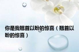 你是我翘首以盼的惊喜（翘首以盼的惊喜）