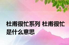 杜甫很忙系列 杜甫很忙是什么意思