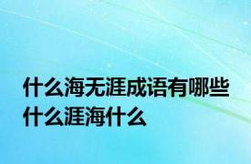 什么海无涯成语有哪些 什么涯海什么