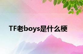 TF老boys是什么梗