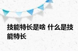 技能特长是啥 什么是技能特长