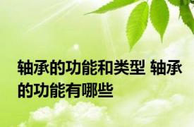 轴承的功能和类型 轴承的功能有哪些