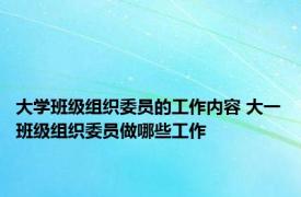 大学班级组织委员的工作内容 大一班级组织委员做哪些工作