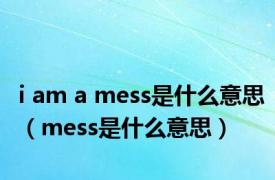 i am a mess是什么意思（mess是什么意思）