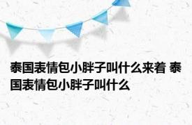 泰国表情包小胖子叫什么来着 泰国表情包小胖子叫什么