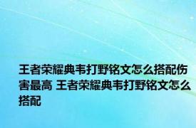 王者荣耀典韦打野铭文怎么搭配伤害最高 王者荣耀典韦打野铭文怎么搭配