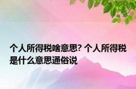 个人所得税啥意思? 个人所得税是什么意思通俗说