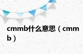 cmmb什么意思（cmmb）