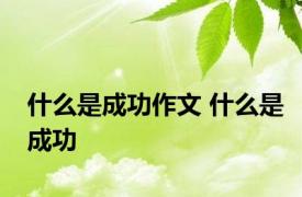 什么是成功作文 什么是成功