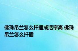 佛珠吊兰怎么扦插成活率高 佛珠吊兰怎么扦插