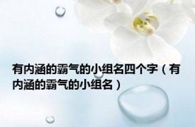 有内涵的霸气的小组名四个字（有内涵的霸气的小组名）