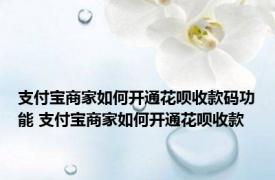 支付宝商家如何开通花呗收款码功能 支付宝商家如何开通花呗收款