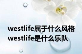 westlife属于什么风格 westlife是什么乐队