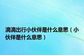 滴滴出行小伙伴是什么意思（小伙伴是什么意思）