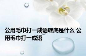 公用毛巾打一成语谜底是什么 公用毛巾打一成语