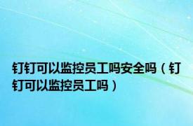 钉钉可以监控员工吗安全吗（钉钉可以监控员工吗）