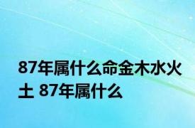 87年属什么命金木水火土 87年属什么