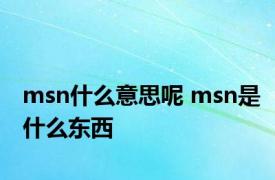 msn什么意思呢 msn是什么东西