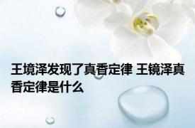 王境泽发现了真香定律 王镜泽真香定律是什么