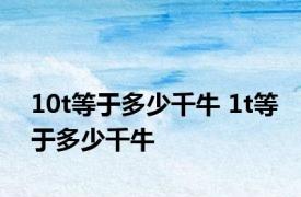 10t等于多少千牛 1t等于多少千牛 