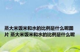 蒸大米饭米和水的比例是什么呢图片 蒸大米饭米和水的比例是什么呢