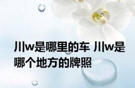 川w是哪里的车 川w是哪个地方的牌照