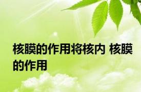 核膜的作用将核内 核膜的作用