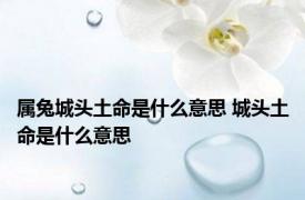 属兔城头土命是什么意思 城头土命是什么意思