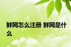 鲜网怎么注册 鲜网是什么