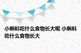 小蝌蚪吃什么食物长大呢 小蝌蚪吃什么食物长大