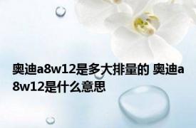 奥迪a8w12是多大排量的 奥迪a8w12是什么意思