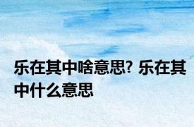 乐在其中啥意思? 乐在其中什么意思