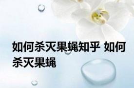 如何杀灭果蝇知乎 如何杀灭果蝇