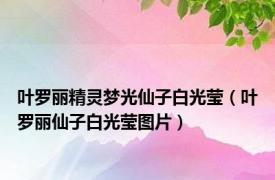 叶罗丽精灵梦光仙子白光莹（叶罗丽仙子白光莹图片）