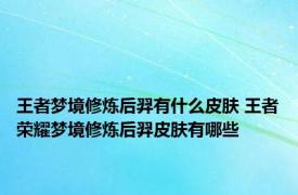 王者梦境修炼后羿有什么皮肤 王者荣耀梦境修炼后羿皮肤有哪些