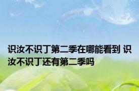 识汝不识丁第二季在哪能看到 识汝不识丁还有第二季吗