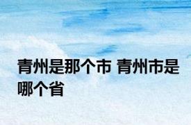 青州是那个市 青州市是哪个省