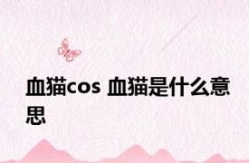 血猫cos 血猫是什么意思